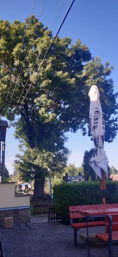 ホテル Penzion U Draci Skaly Svojse エクステリア 写真