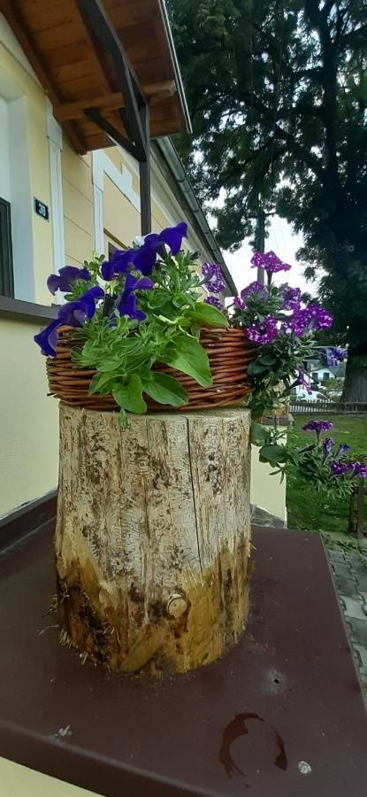 ホテル Penzion U Draci Skaly Svojse エクステリア 写真